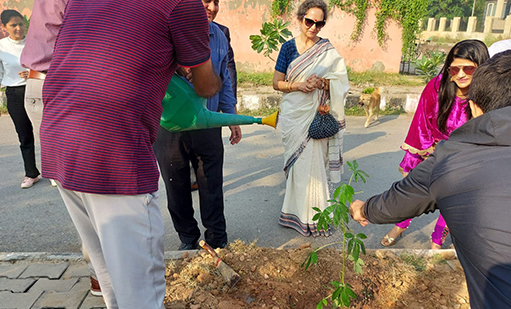 tree-plantation